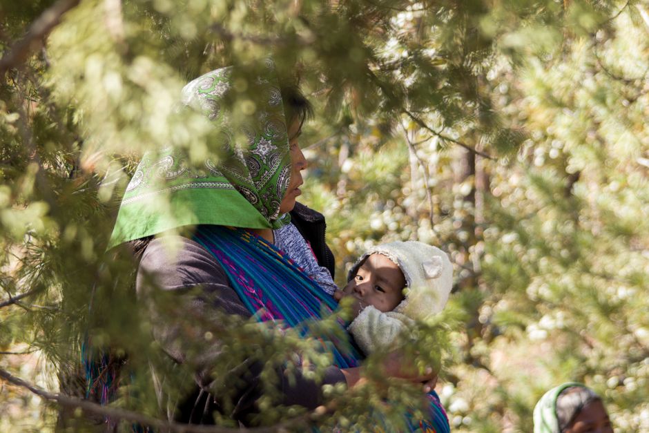 A mother comfortably wearing her baby in a scenic forest setting