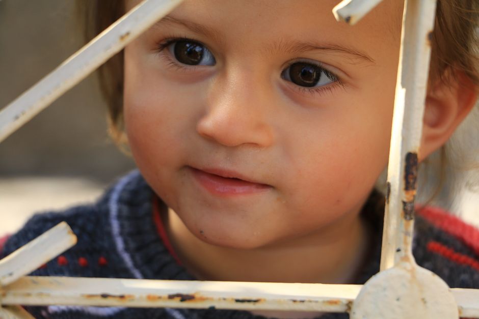 Curious child looking attentively through fence