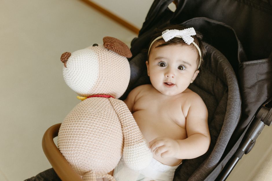 Adorable baby in a safe modern stroller holding a soft knitted toy